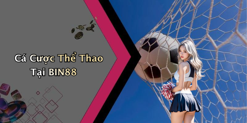 Cá Cược Thể Thao Tại BIN88
