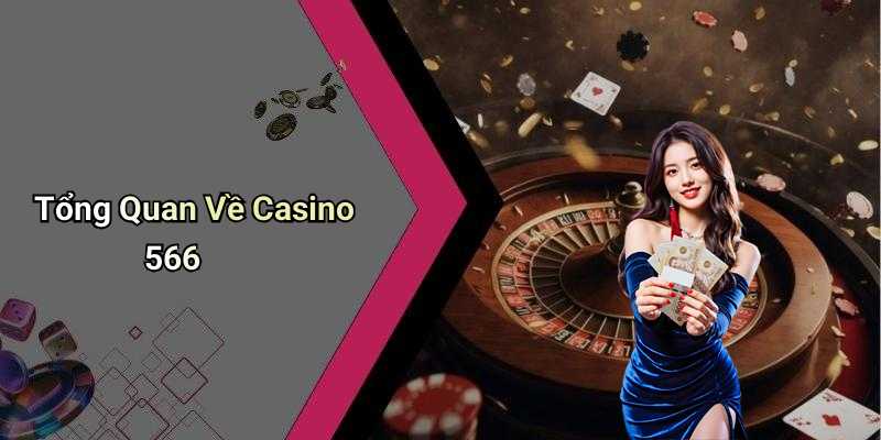 Tổng Quan Về Casino 566