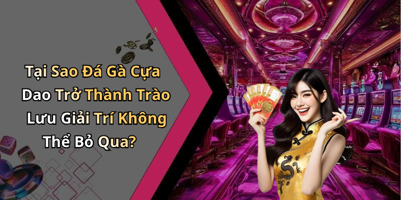 Tại Sao Đá Gà Cựa Dao Trở Thành Trào Lưu Giải Trí Không Thể Bỏ Qua?