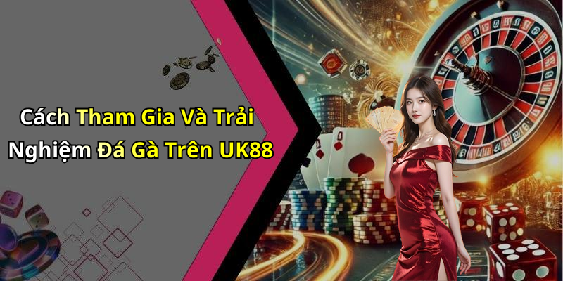 Cách Tham Gia Và Trải Nghiệm Đá Gà Trên UK88