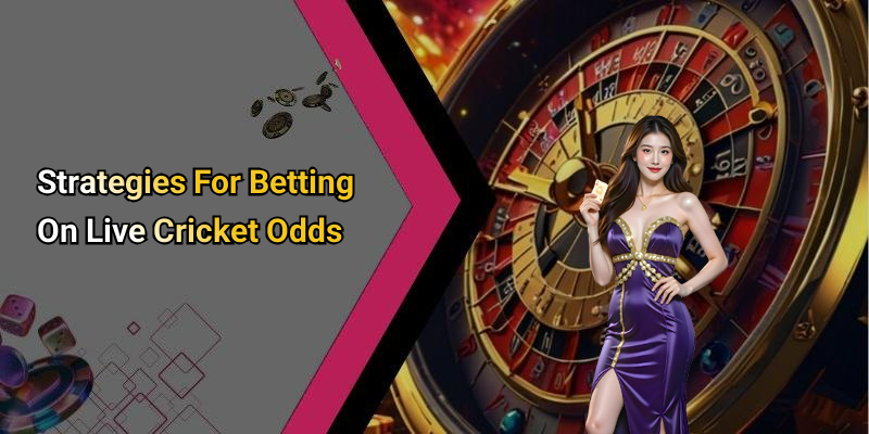 Strategies For Betting On Live Cricket Odds