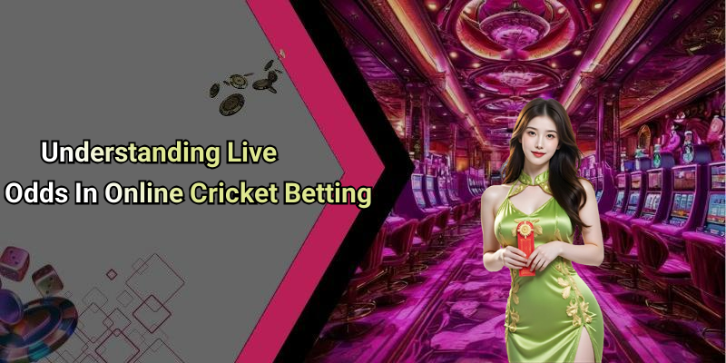 Understanding Live Odds In Online Cricket Betting