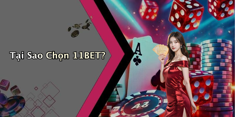 Tại Sao Chọn 11BET?