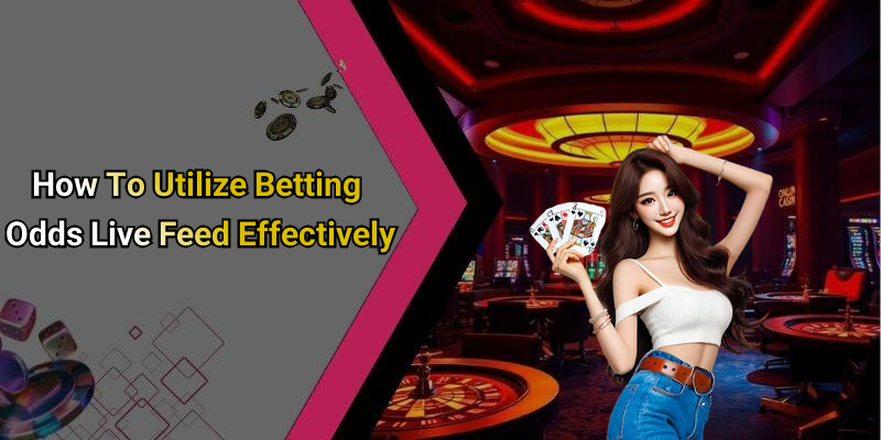 How To Utilize Betting Odds Live Feed Effectively