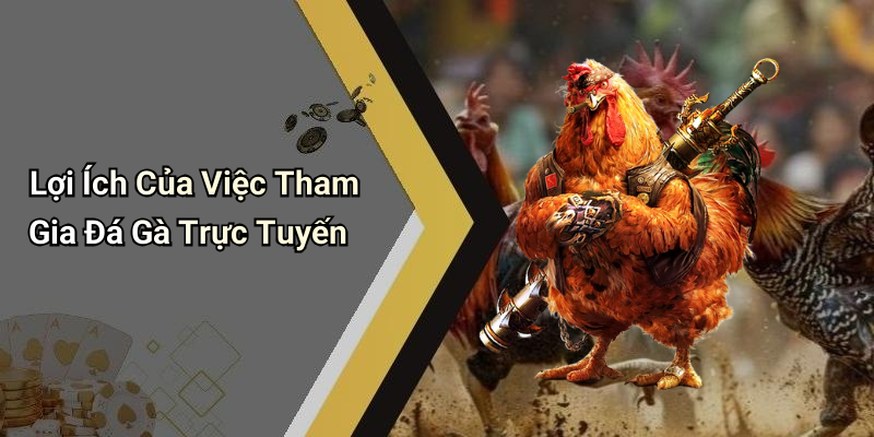 Lợi Ích Của Việc Tham Gia Đá Gà Trực Tuyến