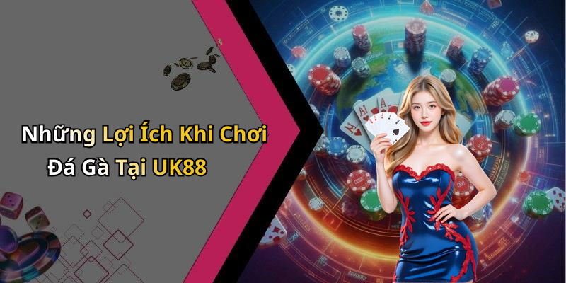 Những Lợi Ích Khi Chơi Đá Gà Tại UK88