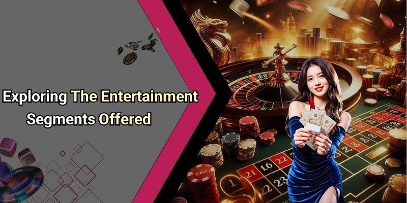 Exploring The Entertainment Segments Offered