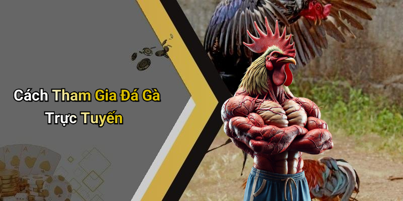Cách Tham Gia Đá Gà Trực Tuyến