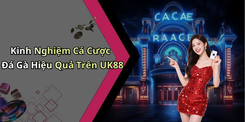 Kinh Nghiệm Cá Cược Đá Gà Hiệu Quả Trên UK88